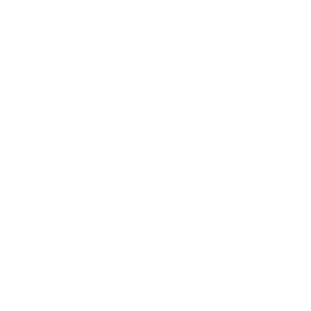Norpave Logo